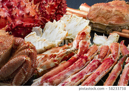 各種風箏 58233738