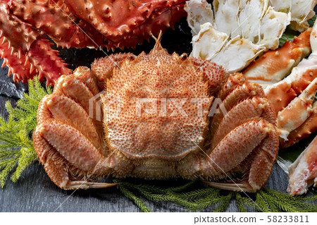 Hairy crab Hairy crab 58233811