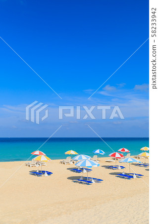 沙灘傘盛開的與葉前濱 沙灘傘盛開的與葉前濱 58233942