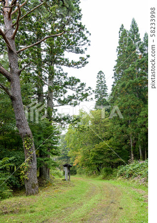 前Hashu Kaido（山形縣） 58233998