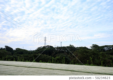 Autumn (field) Autumn (field) 58234623