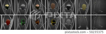 3d rendering  medical illustration of the patella bone collection 58235375