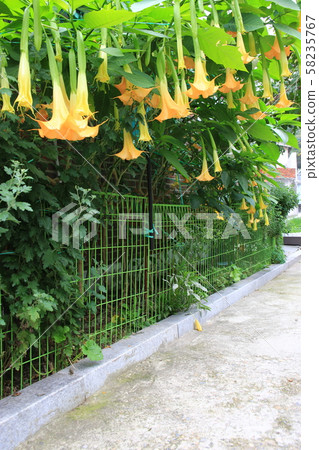 Seongbuk-gu, Jeongneung-dong, Everyday Seongbuk-gu, Jeongneung-dong, Everyday 58235767