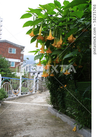 Seongbuk-gu, Jeongneung-dong, Everyday 58235768