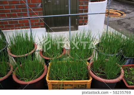 Seongbuk-gu, Jeongneung-dong, Everyday 58235769