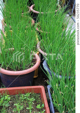 城陵洞城北區每天 城陵洞城北區每天 58235770