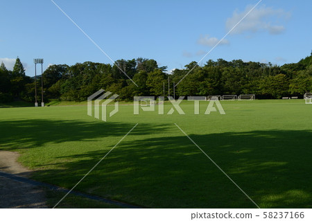 Tajima Dome 58237166