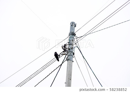 電話和烏鴉 電話和烏鴉 58238852