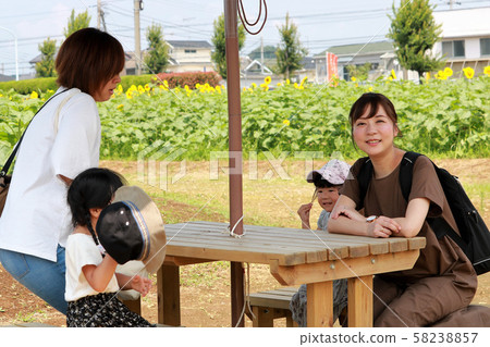 Sunflower field family 58238857