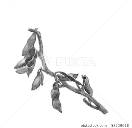 毛豆與分支大豆水彩單調 毛豆與分支大豆水彩單調 58239618