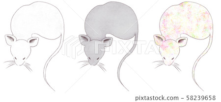 3 rats - Stock Illustration [58239658] - PIXTA