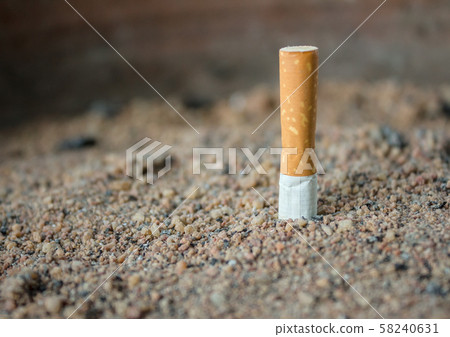 Cigarette butt Cigarette butt 58240631