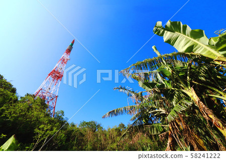 Steel tower and island banana tree 58241222