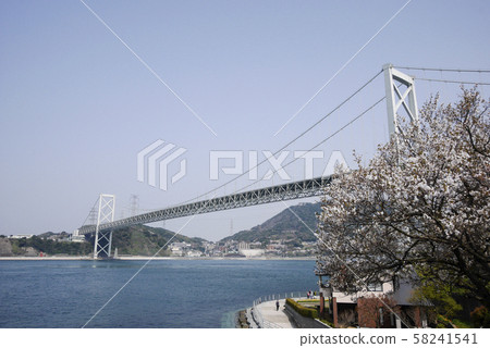 福岡 58241541