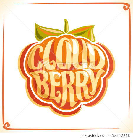 Vector logo for Cloudberry 58242248