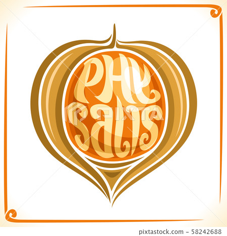 Vector logo for Physalis Fruit Vector logo for Physalis Fruit 58242688