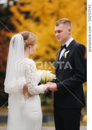 Beautiful autumn in the park. Just married couple walking by the big yellow tree 58243541
