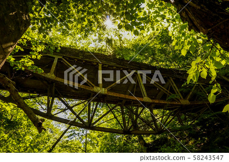 An old road in Yuzawa Town, Niigata Prefecture, an abandoned bridge in the mountains that step through the grass, Sakai Bridge 58243547