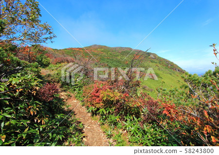 從那須貢多拉到山的山路。 58243800