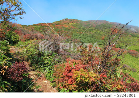 從那須貢多拉到山的山路。 58243801