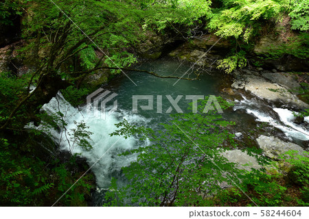 新鮮的柳川谷 新鮮的柳川谷 58244604