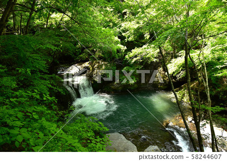新鮮的柳川谷 新鮮的柳川谷 58244607