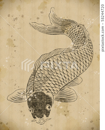 Europe 日本 VINTAGE JAPAN 鯉 OLD 鯉幟 錦鯉 錦鯉 鯉 販売 通販 ネット販売 昭和三色 47cm - 錦鯉販売 株式