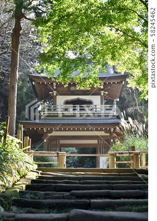 鎌倉/若or寺鐘樓門 58245462