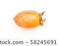 persimmon 58245691