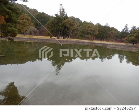 大泉在池塘中倒映的樹木 58246257