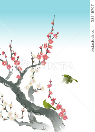 梅梅梅梅白梅花 58246707