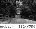 Approach 58246750