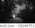 Approach 58246751