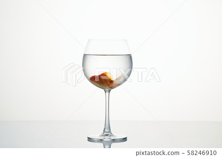 little goldfish moving in wineglass of water little goldfish moving in wineglass of water 58246910