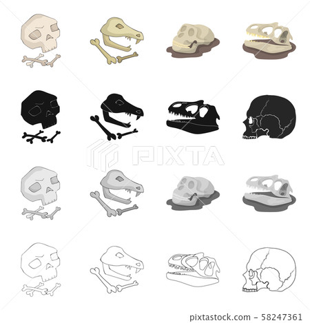 Isolated object of skeleton and character sign. Set of skeleton and halloween stock symbol for web. Isolated object of skeleton and character sign. Set of skeleton and halloween stock symbol for web. 58247361