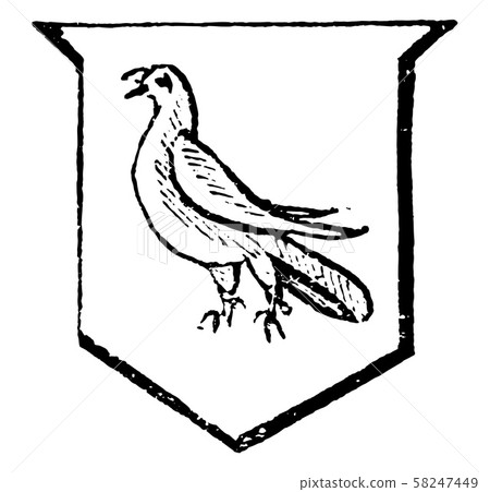Close have a bird with its wings closed, vintage Close have a bird with its wings closed, vintage 58247449