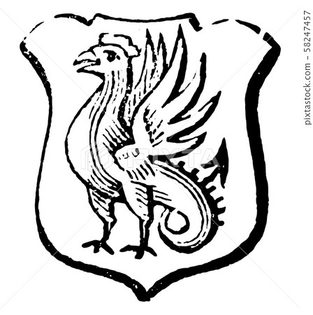 Cockatrice is a cock with a dragon's tail and Cockatrice is a cock with a dragon's tail and 58247457