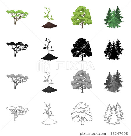 Isolated object of tree and forest sign. Set of tree and green stock vector illustration. Isolated object of tree and forest sign. Set of tree and green stock vector illustration. 58247698