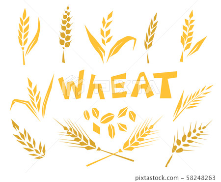Concept for organic products label, harvest and farming, grain, bakery, healthy food. 58248263