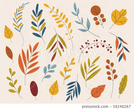 Hand drawn Autumn wild forest hand vector set. Yellow autumnal garden leaf, red fall leaf and fallen 58248267