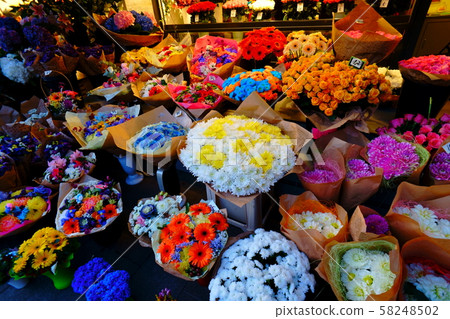 Estonia Tallinn Old Town Hana 58248502