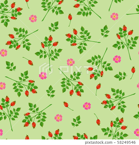 Seamless pattern with rosehip, roses and green Seamless pattern with rosehip, roses and green 58249546