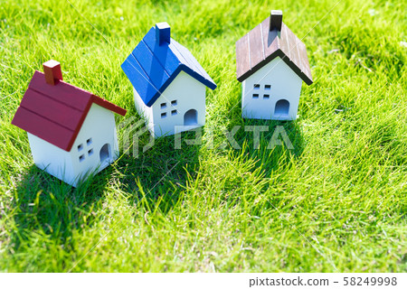 Fresh green house image, upper left backlight, morning 58249998