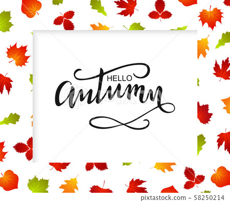 Autumn frame background with fall leaf 58250214
