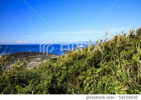 Jogashima (Autumn) Jogashima (Autumn) 58250830