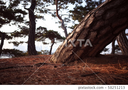 Ilsan Lake Park in Goyang-si, South Korea. The largest artificial lake park in the Orient. Ilsan Lake Park in Goyang-si, South Korea. The largest artificial lake park in the Orient. 58251213