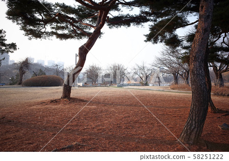 Ilsan Lake Park in Goyang-si, South Korea. The largest artificial lake park in the Orient. 58251222