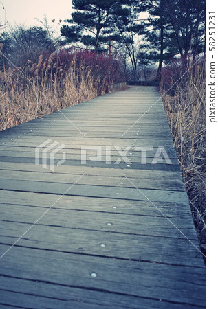 Ilsan Lake Park in Goyang-si, South Korea. The largest artificial lake park in the Orient. 58251231