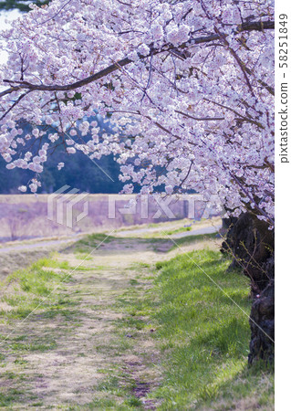 Takato Castle 58251849