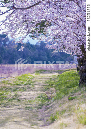 Takato Castle 58251856